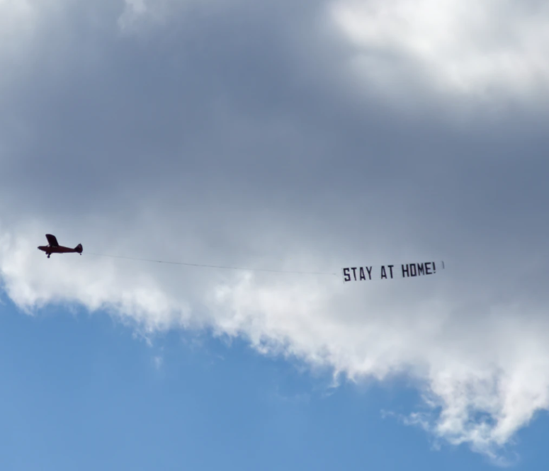 airplane in the sky during daytime photo – Free Animal Image on Unsplash