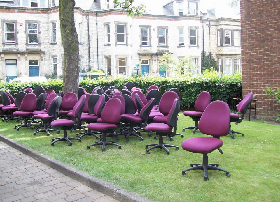 unwanted chairs grazing on grass