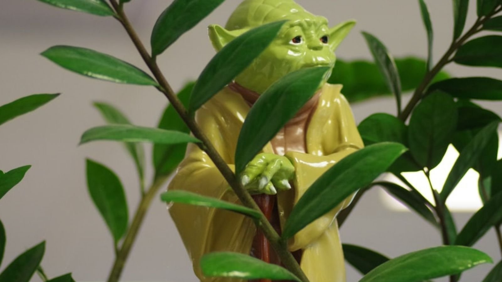 yoda green mentor