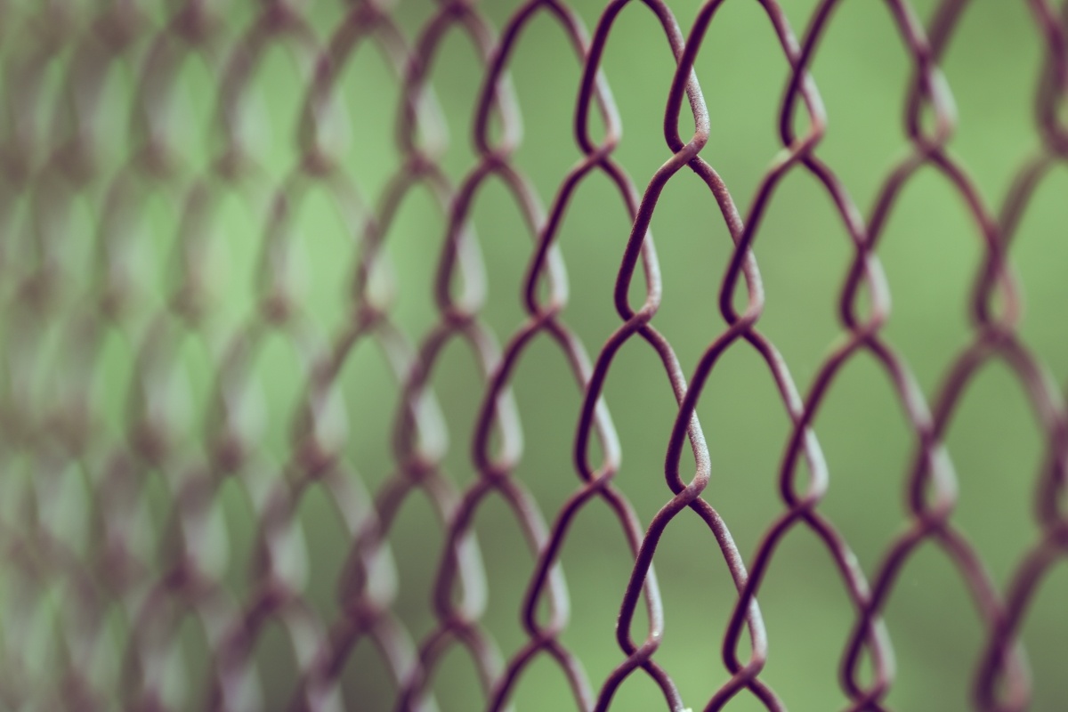 Optimized-francisco-galarza-110053 (1).jpg
